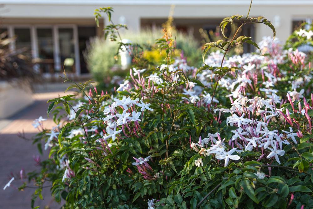 The Blue Lotus Guest House Port Elizabeth Exterior foto